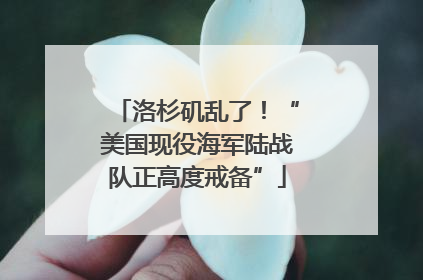 洛杉矶乱了！“美国现役海军陆战队正高度戒备”