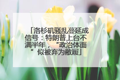 洛杉矶骚乱蔓延成信号：特朗普上台不满半年，“政治体面”似被弃为敝履