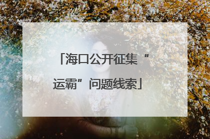 海口公开征集“运霸”问题线索