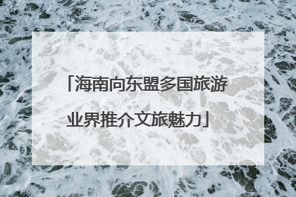 海南向东盟多国旅游业界推介文旅魅力