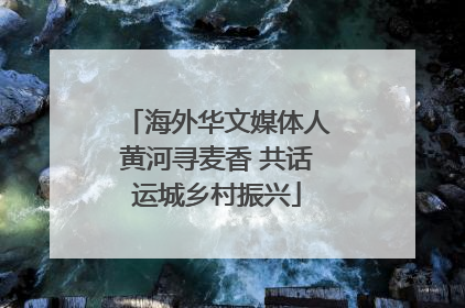 海外华文媒体人黄河寻麦香 共话运城乡村振兴
