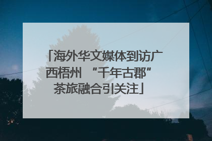 海外华文媒体到访广西梧州 “千年古郡”茶旅融合引关注