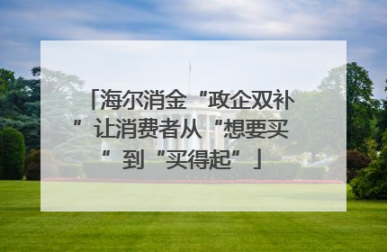 海尔消金“政企双补”让消费者从“想要买”到“买得起”