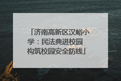 济南高新区汉峪小学：民法典进校园 构筑校园安全防线