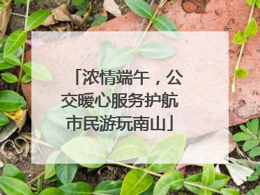 浓情端午，公交暖心服务护航市民游玩南山
