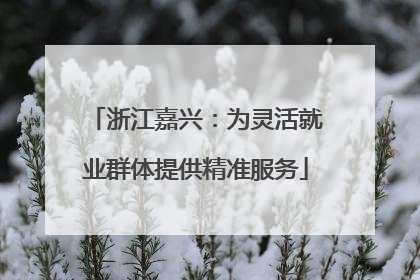 浙江嘉兴：为灵活就业群体提供精准服务