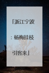 浙江宁波：杨梅挂枝引客来