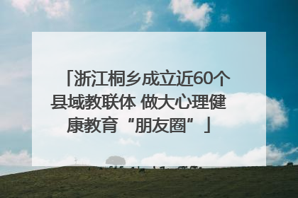 浙江桐乡成立近60个县域教联体 做大心理健康教育“朋友圈”
