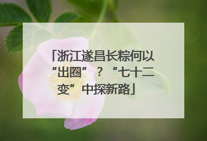 浙江遂昌长粽何以“出圈”？“七十二变”中探新路