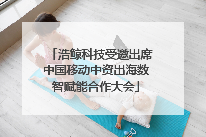 浩鲸科技受邀出席中国移动中资出海数智赋能合作大会