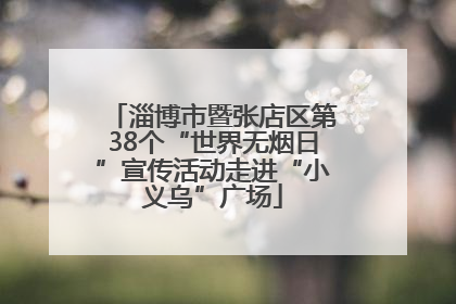 淄博市暨张店区第38个“世界无烟日”宣传活动走进“小义乌”广场