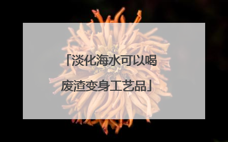 淡化海水可以喝 废渣变身工艺品