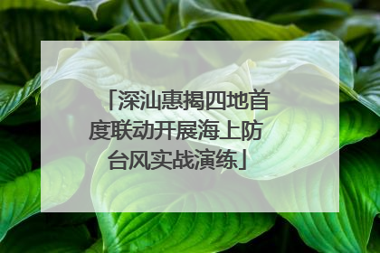 深汕惠揭四地首度联动开展海上防台风实战演练
