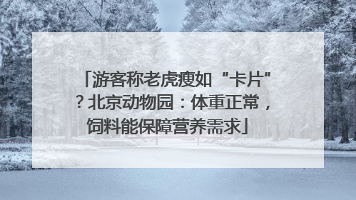 游客称老虎瘦如“卡片”？北京动物园：体重正常，饲料能保障营养需求