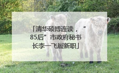 清华硕博连读，“85后”市政府秘书长李一飞履新职