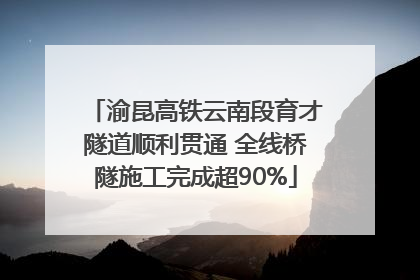 渝昆高铁云南段育才隧道顺利贯通 全线桥隧施工完成超90%