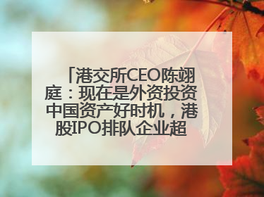 港交所CEO陈翊庭：现在是外资投资中国资产好时机，港股IPO排队企业超160家