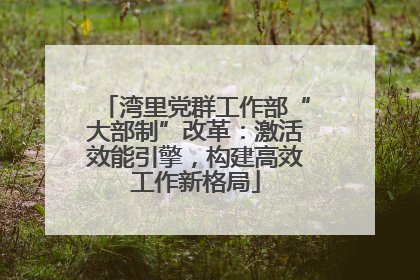 湾里党群工作部“大部制”改革：激活效能引擎，构建高效工作新格局