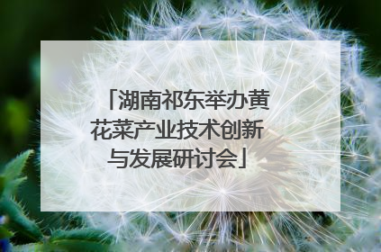 湖南祁东举办黄花菜产业技术创新与发展研讨会