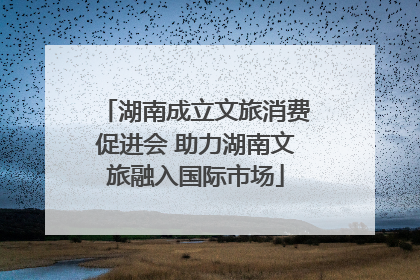 湖南成立文旅消费促进会 助力湖南文旅融入国际市场