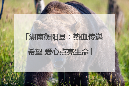 湖南衡阳县：热血传递希望 爱心点亮生命