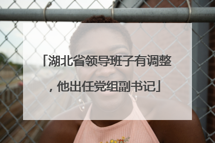 湖北省领导班子有调整，他出任党组副书记