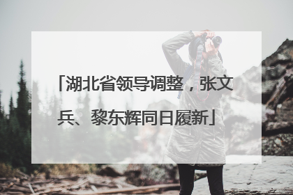 湖北省领导调整，张文兵、黎东辉同日履新