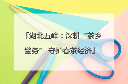 湖北五峰：深耕“茶乡警务” 守护春茶经济