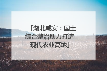 湖北咸安：国土综合整治助力打造现代农业高地