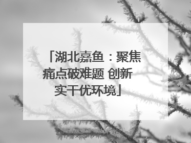 湖北嘉鱼：聚焦痛点破难题 创新实干优环境
