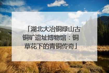 湖北大冶铜绿山古铜矿遗址博物馆：铜草花下的青铜传奇