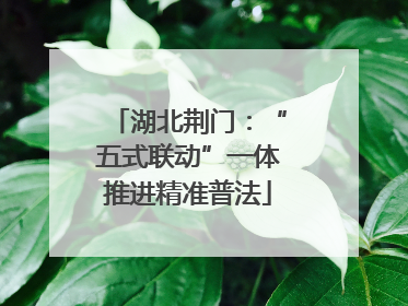 湖北荆门：“五式联动”一体推进精准普法