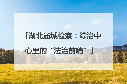 湖北通城检察：综治中心里的“法治前哨”