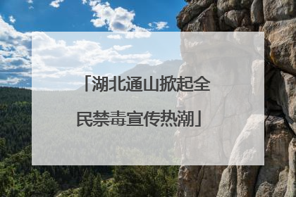 湖北通山掀起全民禁毒宣传热潮