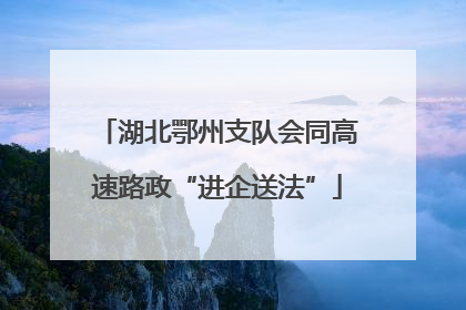 湖北鄂州支队会同高速路政“进企送法”