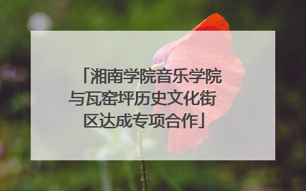 湘南学院音乐学院与瓦窑坪历史文化街区达成专项合作