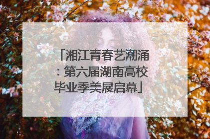 湘江青春艺潮涌：第六届湖南高校毕业季美展启幕