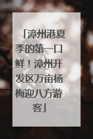 漳州港夏季的第一口鲜！漳州开发区万亩杨梅迎八方游客