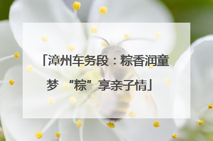 漳州车务段：粽香润童梦 “粽”享亲子情