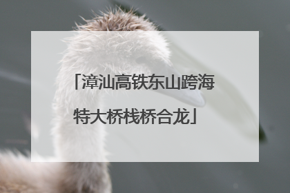 漳汕高铁东山跨海特大桥栈桥合龙