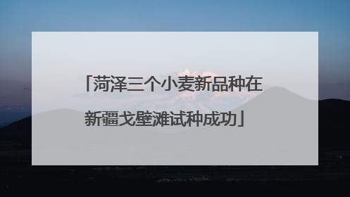 菏泽三个小麦新品种在新疆戈壁滩试种成功