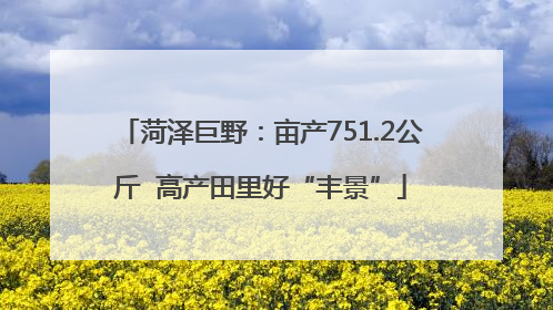 菏泽巨野：亩产751.2公斤  高产田里好“丰景”
