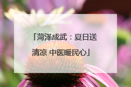 菏泽成武：夏日送清凉 中医暖民心