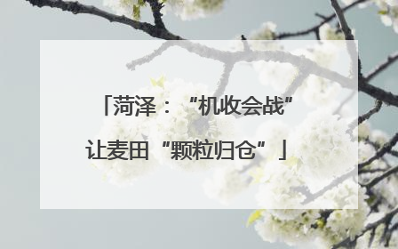 菏泽：“机收会战”让麦田“颗粒归仓”