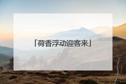 荷香浮动迎客来