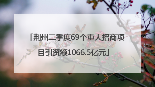 荆州二季度69个重大招商项目引资额1066.5亿元