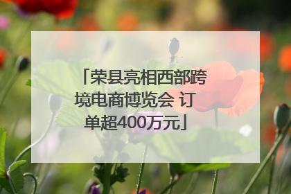 荣县亮相西部跨境电商博览会 订单超400万元
