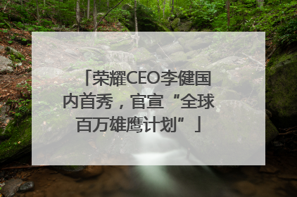 荣耀CEO李健国内首秀，官宣“全球百万雄鹰计划”