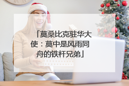 莫桑比克驻华大使：莫中是风雨同舟的铁杆兄弟