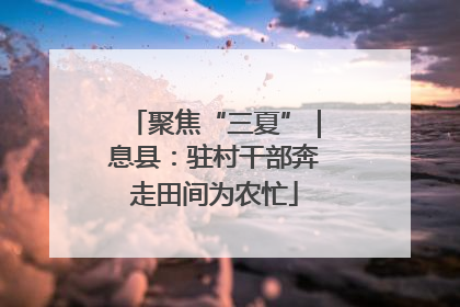 聚焦“三夏”｜息县：驻村干部奔走田间为农忙